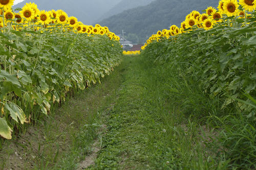 _MG_3902.jpg