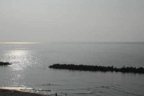 _MG_3931.jpg