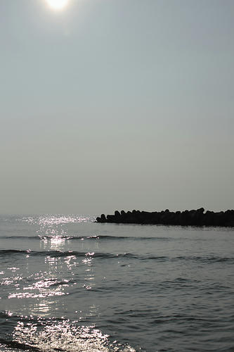 _MG_3932.jpg