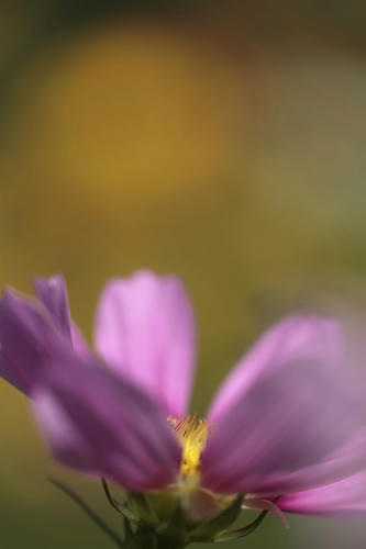 _MG_4173.jpg