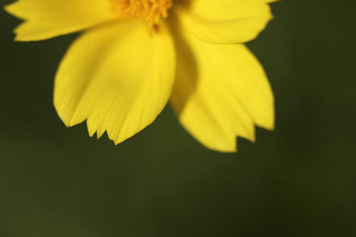 _MG_4178.jpg