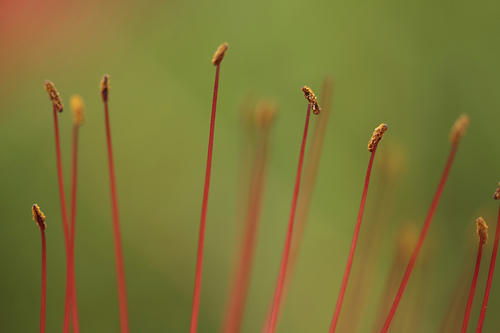 _MG_4259.jpg