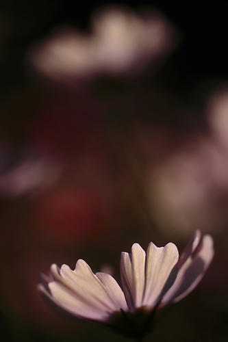 _MG_4844.jpg