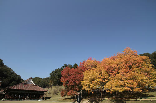 _MG_4978.jpg