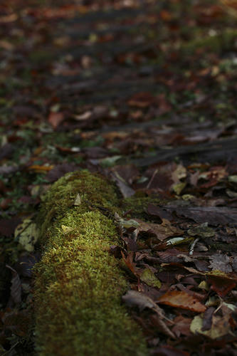 _MG_5024.jpg