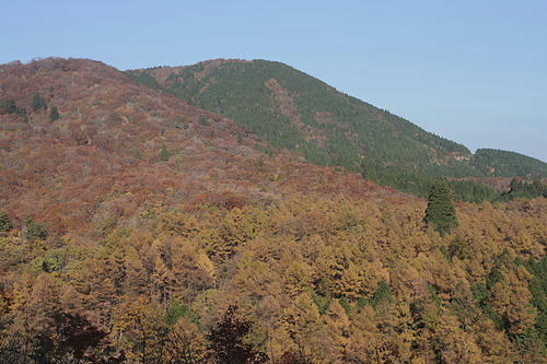 _MG_5046.jpg