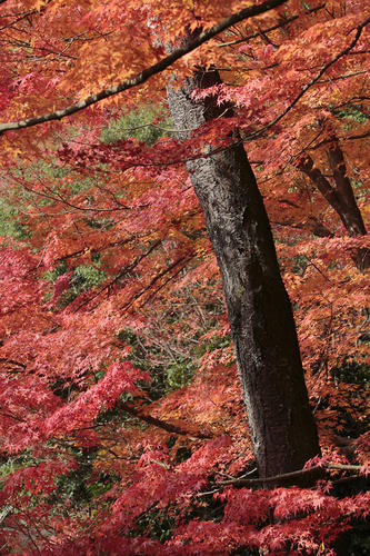 _MG_5399.jpg