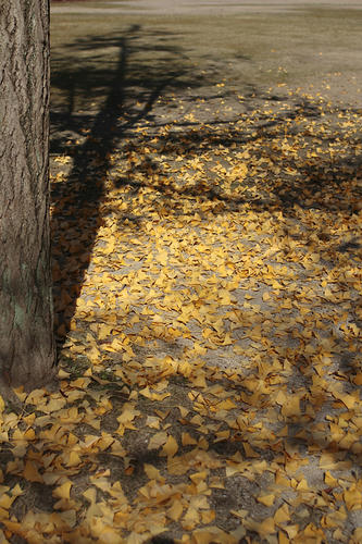 _MG_5663.jpg