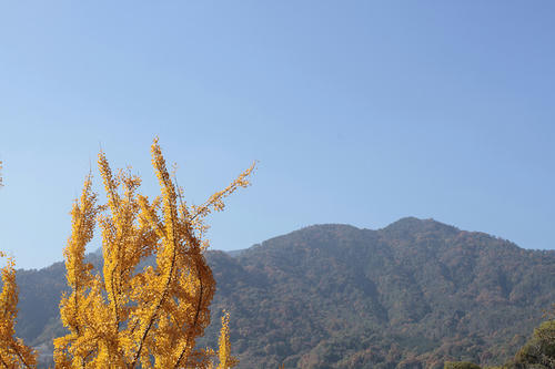 _MG_5687.jpg