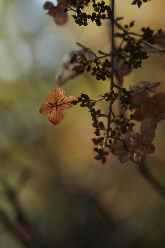 _MG_5718.jpg