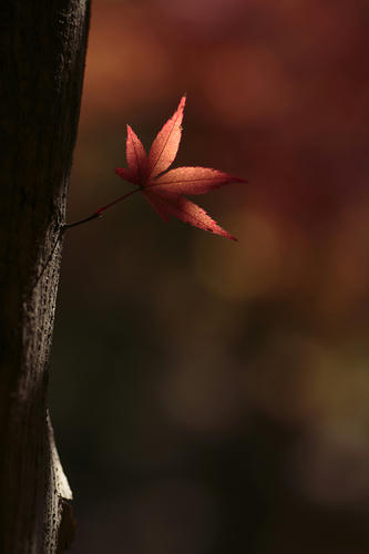 _MG_5800.jpg