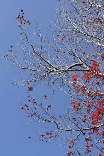 _MG_5690.jpg