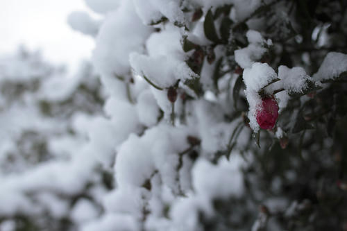 _MG_5847.jpg