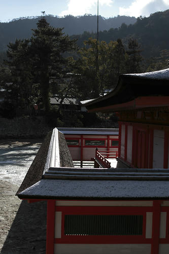 _MG_5977.jpg