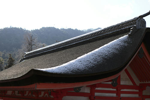 _MG_5978.jpg