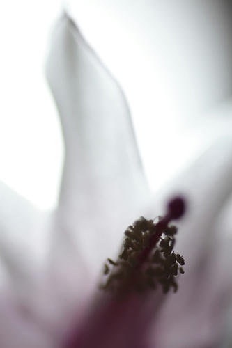 _MG_6078.jpg