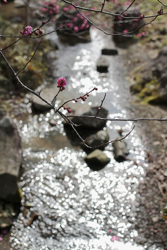 _MG_6104.jpg