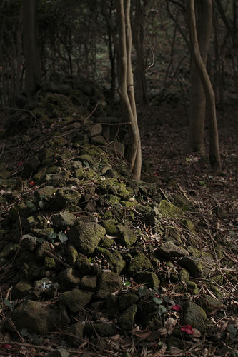 _MG_6135.jpg