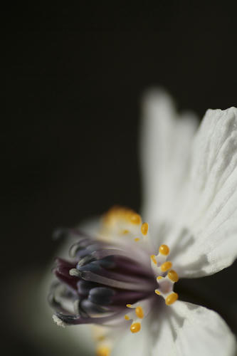 _MG_6219.jpg