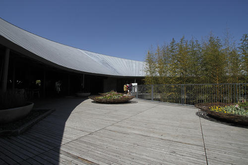 _MG_6276.jpg