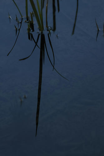 _MG_6280.jpg