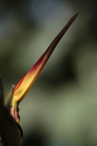 _MG_6344.jpg