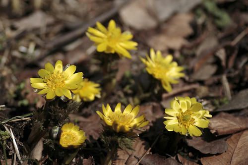 _MG_6376.jpg