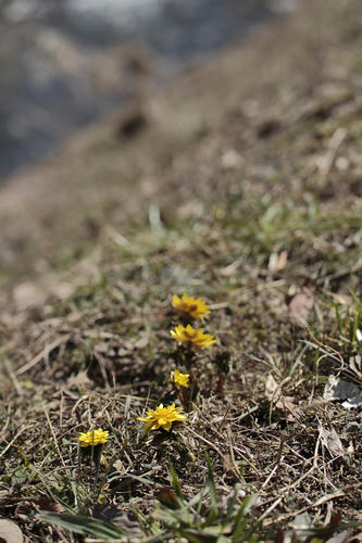 _MG_6380.jpg