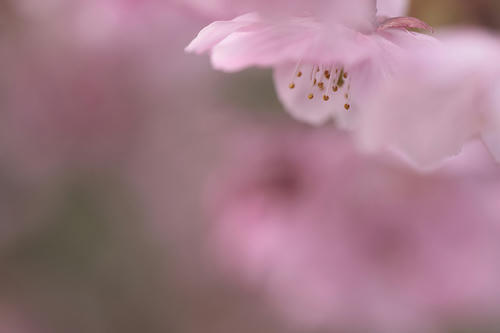 _MG_6470.jpg