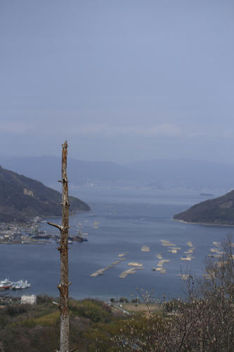 _MG_6495.jpg