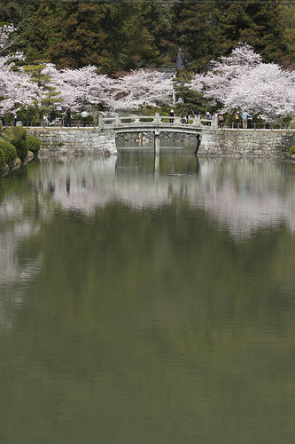 _MG_6551.jpg