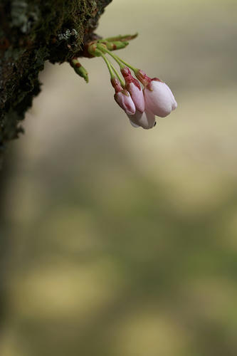 _MG_6564.jpg
