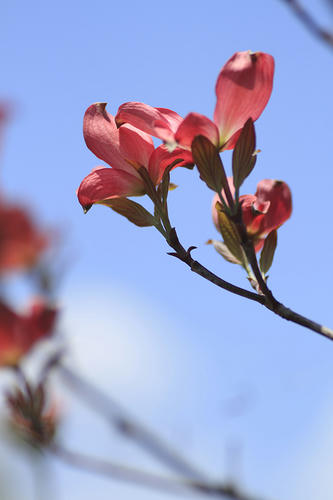 _MG_6656.jpg