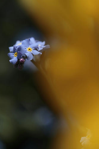 _MG_6731.jpg