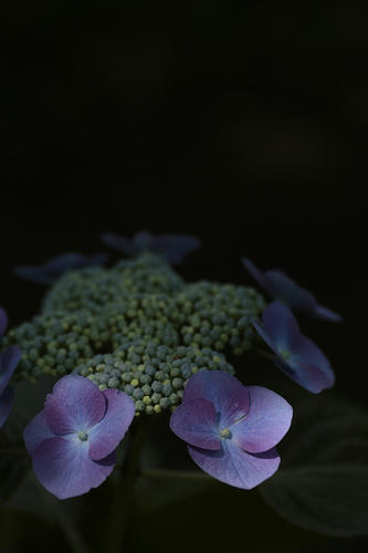 _MG_6972.jpg