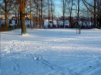 1.2009_yukigeshiki