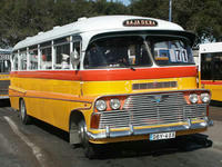 Malta Bus