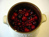 rumtopf-02.jpg