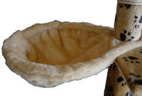 8093f8a9.jpg