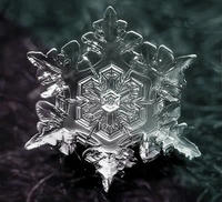 雪の結晶