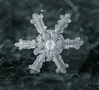雪の結晶