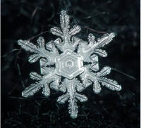 雪の結晶