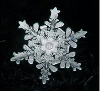 雪の結晶