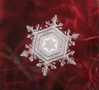 雪の結晶
