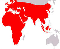 igel_map.jpg