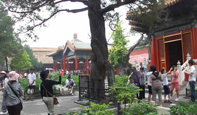 北京 紫禁城 庭