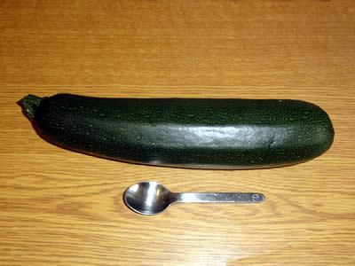 ズッキーニ 2010