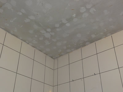 バスルーム　天井