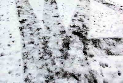雪の上の猫道