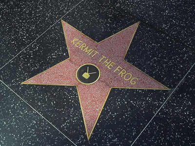 Walk of Fame kermit